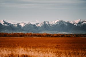 Montana License Plate Options