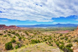 New Mexico License Plate Options