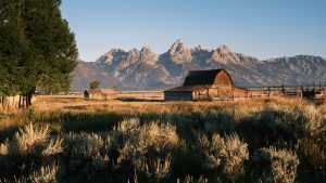 Wyoming License Plates Numbers