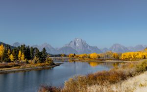 Wyoming License Plates+Overview